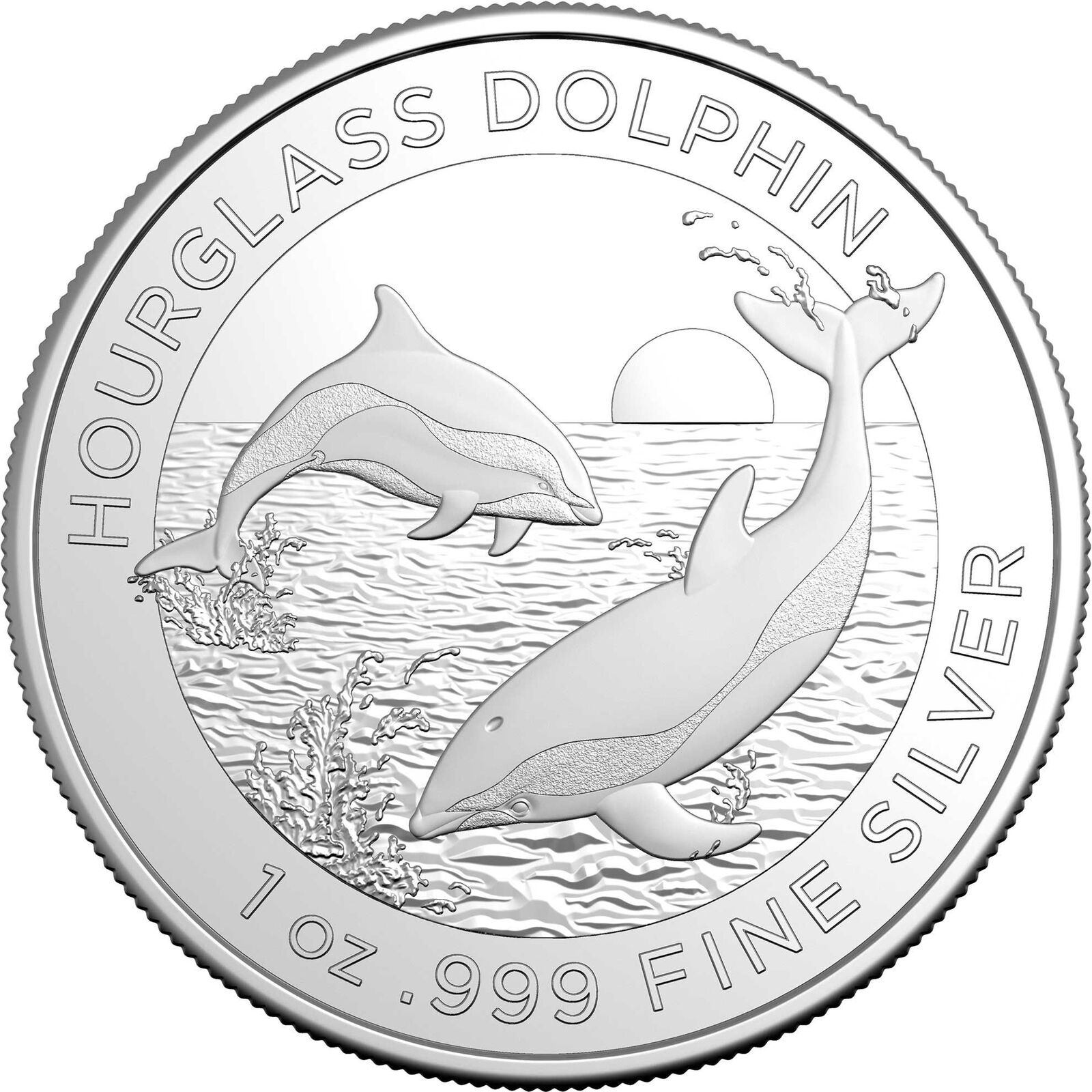 2024 $1 Hourglass Dolphin 1oz Silver Investment Coin