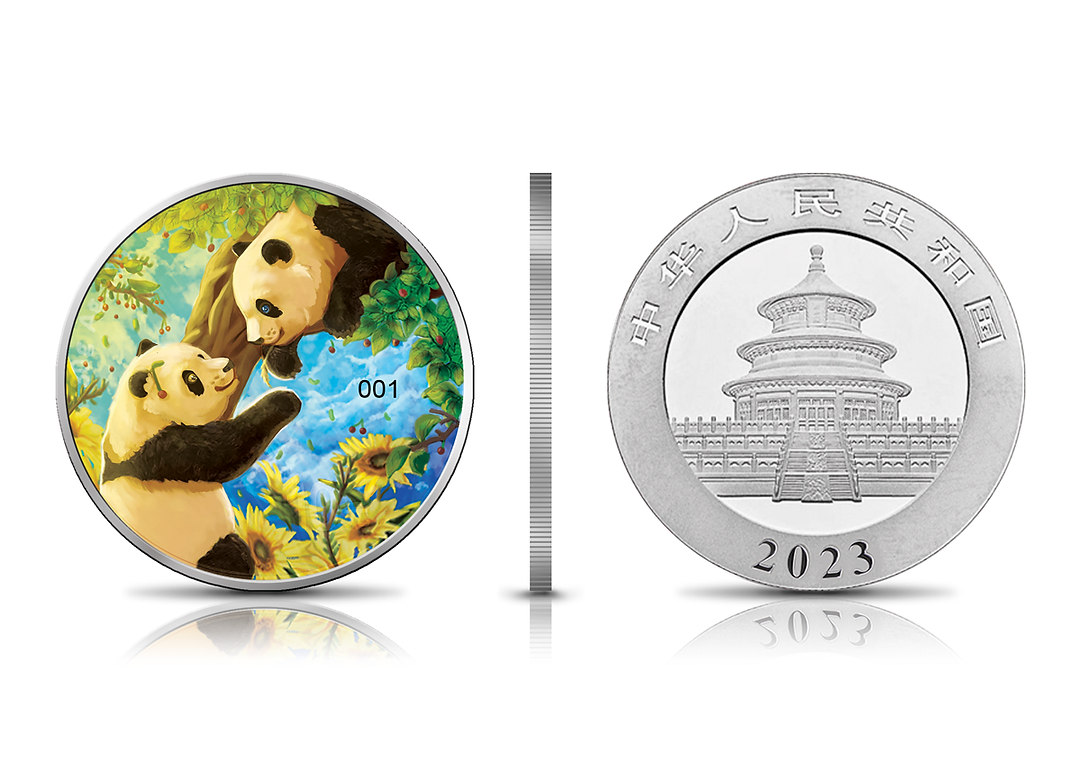 2023 China Panda Summer 30g Coloured Silver Coin