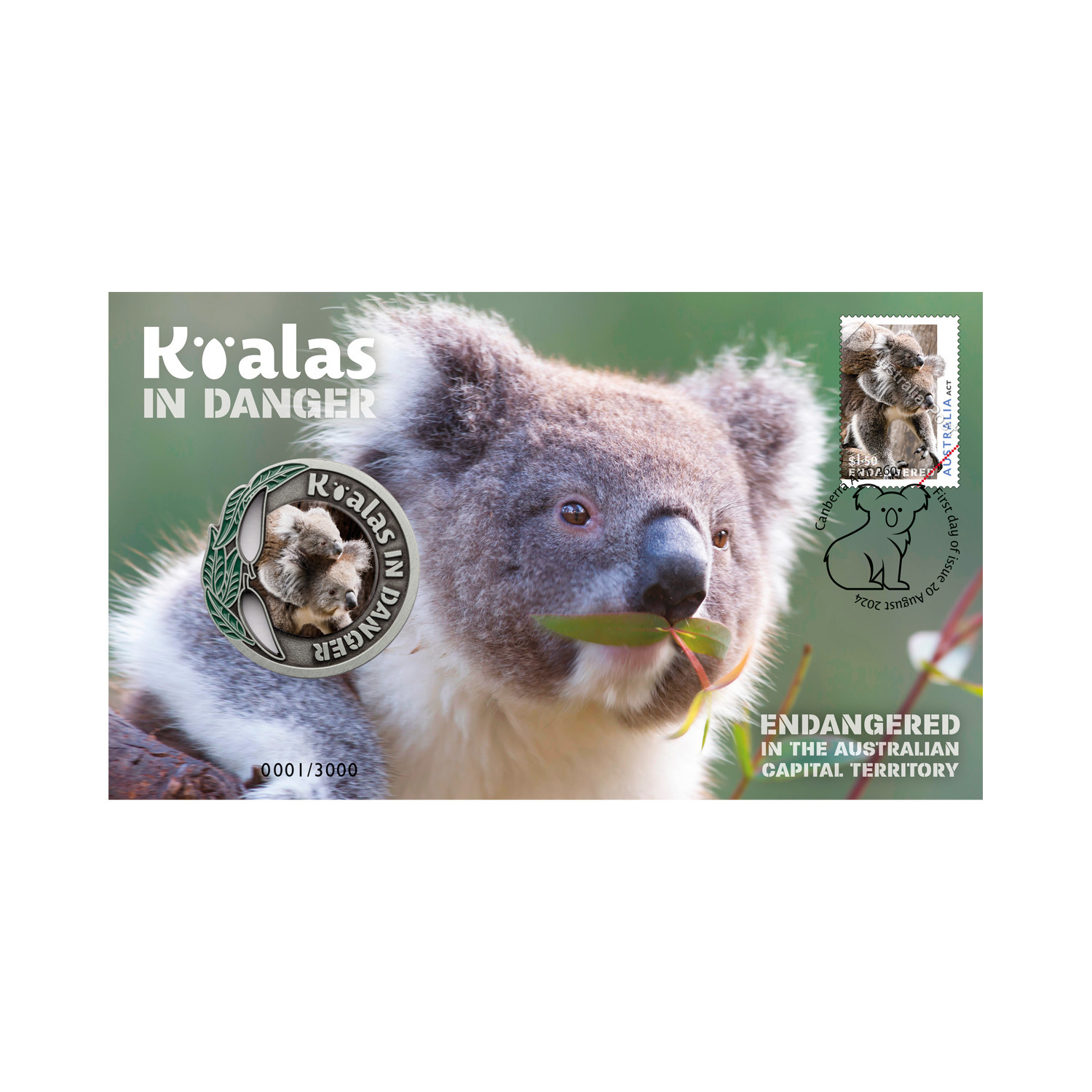 Koalas in Danger Medallion Covers (set of 3)