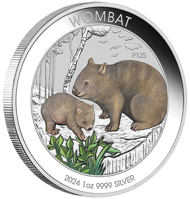 2024 $1 Wombat 1oz Coloured Silver Coin in Card