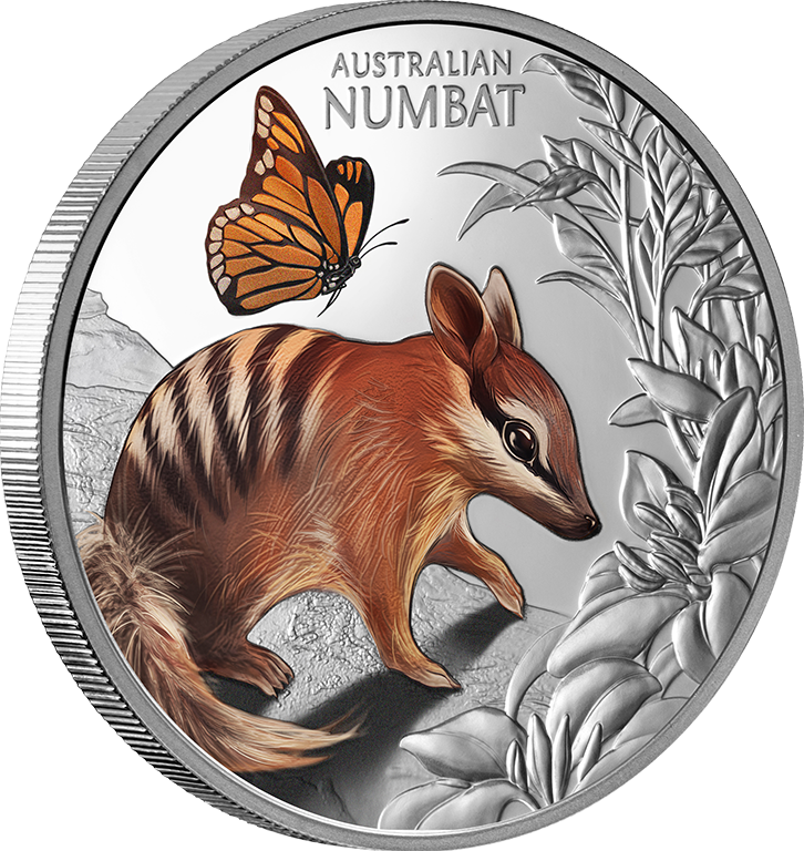 2025 $1 Cute and Cuddly Baby Numbat 1oz Coloured Silver Proof Coin