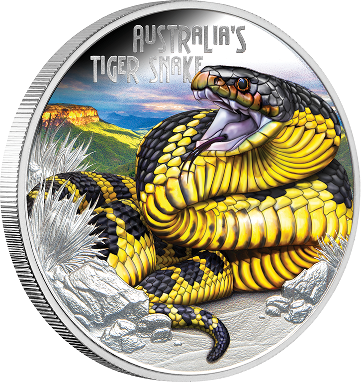 2025 $1 Deadly and Dangerous Tiger Snake 1oz Coloured Silver Proof