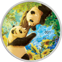 2023 China Panda Summer 30g Coloured Silver Coin