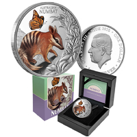 2025 $1 Cute and Cuddly Baby Numbat 1oz Coloured Silver Proof Coin