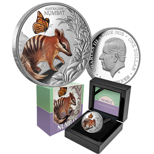 2025 $1 Cute and Cuddly Baby Numbat 1oz Coloured Silver Proof Coin